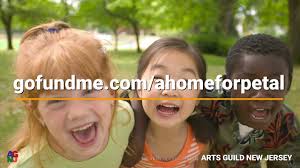 Arts Guild New Jersey Inc