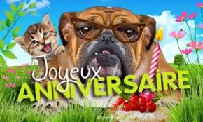 Carte virtuelle bonne fête gratuite dromadaire. Cartes Chiens Virtuelles Gratuites Cybercartes Com