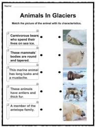 A collection of english esl colours worksheets for home learning, online practice, distance learning and english animals colouring worksheet. Glacier Facts Worksheets Where Are They Found Advice For Kids