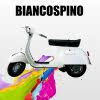 Image result for Biancospino 1969 Piaggio