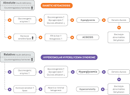 Diabetic Ketoacidosis And Hyperosmolar Hyperglycemic Syndrome Review Of Acute Decompensated Diabetes In Adult Patients The Bmj
