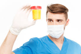 Blut Im Urin Hamaturie Symtom Ursachen Diagnose Behandlung Krank De