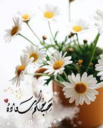 pin by sosi on صباحيات good morning gif morning greeting morning gif