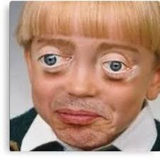 Steve Buscemi Boy Canvas Print By Galvetica Cat Memes Boys Posters Memes