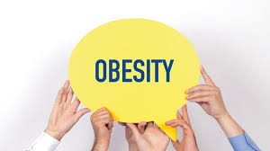 Image result for Obesity