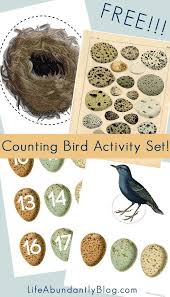 Birds That Start With A Vowel Gorgeous Activity Kit For Preschoolers All The Way Through Elementary To Be Used For Multiplication Basic Counting Sub Bird Unit Study Oviparous Animals Bird