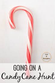 The first person with a broken candy cane loses the battle; Candy Cane Christmas Activites Go On A Candy Cane Hunt