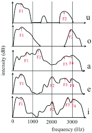 Maybe you would like to learn more about one of these? Selected Instruments 2 Chordophones Membranophones Idiophones And Human Voice Springerlink