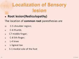 Image result for Neurologic Lesion Localization