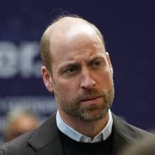 Is Prince Harry going to study law at Yale University?