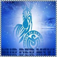 Msv duisburg (1902) logo vector. Msv Duisburg Zebra News Photos Facebook