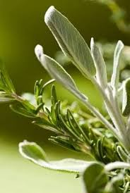 Today i saw a forum discussion with a number of people stating that they were able to restore their natural hair color and get rid of their gray hair with a sage and rosemary tea hair rinse. Pin On Natural Hair And Makeup Solutions