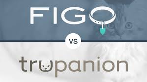 We did not find results for: Figo Vs Trupanion