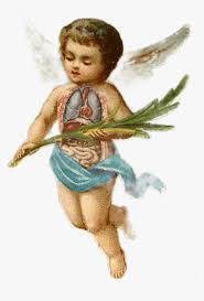Baby Boy Angels Png Download Angel Aesthetic Gif Transparent Png Download Kindpng