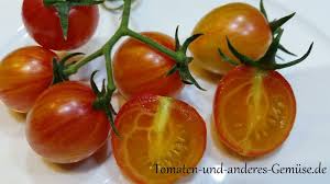 Bumble bees have surprisingly capable brains. Https Xn Tomaten Und Anderes Gemse 1wc De Sunrise Bumble Bee Kirschtomate Tomate