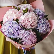 See more ideas about zi de naștere, felicitări, naștere. Aranjamente Florale Buchete Flori Si Cadouri Deosebite