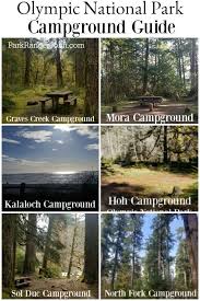 Maybe you would like to learn more about one of these? Olympic National Park Camping Guide What You Can Expect At Each Campground Where They Olympic National Park Camping Olympic National Park National Parks Trip