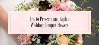Check spelling or type a new query. How To Preserve Replant Wedding Bouquet Flowers Ode A La Rose