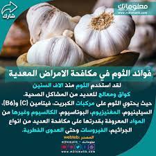 فوائد الثوم في مكافحة الامراض المعدية garlic vegetables food