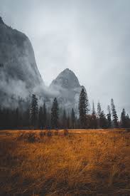 Tumblr wallpaper lockscreen wallpaper wallpaper phone wallpaper. Iphone Xr Wallpapers Free Hd Download 500 Hq Unsplash