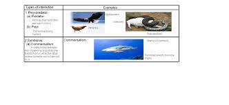 Chlorine atom contains 7 valence electrons and forms one covalent bond with other. Science Form 2 Chapter 4
