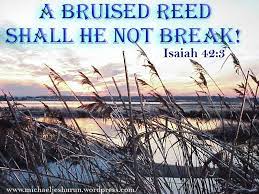 The Bruised Reed And The Smoking Flax |