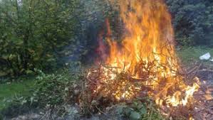 Interdiction Brulage Des Vegetaux Des Le 25 03 2020 Site Ide De La Drome