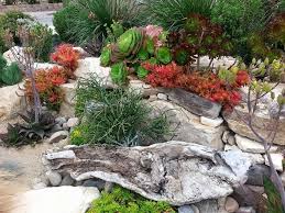 Nice Landscape Design By Becky Barritt That Features Succulents Rock And Driftwood Cool Landscapes Succulents Driftwood Landscaping Ideas