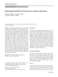 Clinical presentation of superior cluneal nerve entrapment. Pdf Perineal Pain And Inferior Cluneal Nerves Anatomy And Surgery Antoine Hamel And J Labat Academia Edu