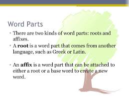 Roots And Affixes