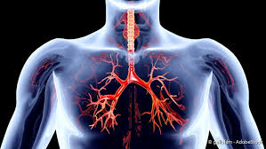 Copd Symptome Ursachen Folgen Therapie Netdoktor