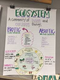Ecosystem Anchor Chart Fourth Grade Science 6th Grade Science Science Anchor Charts