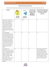 Amoeba Sisters On Twitter Enzymes There S A Handout For That Download Our Free Handouts That Match Our Videos At Http T Co 1bfx6yqz6y Http T Co 9ts8yo33zx