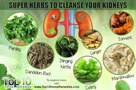Pin On Homeopathic Healing And Dyi For Body Health Beauty