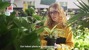 Kings plant barn st lukes 118 asquith ave st lukes. Kings Plant Barn Virtual Store Tour St Lukes Youtube