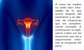 Tabla De Aumento De Peso Y Talla Del Bebe En Desarrollo Infogen