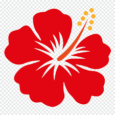 Maybe you would like to learn more about one of these? Flower Yellow Exotic Flower Yellow And Red Hibiscus Flower Herbaceous Plant Orange Png Pngegg
