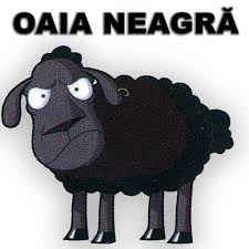 Cu câţiva ani în urmă eram panicată, plină de frică la privirea supărată a mamei, acum o înţeleg, o accept! Oaia NeagrÄ Home Facebook