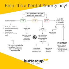 dental emergency what to do who to call buttercup 7 day