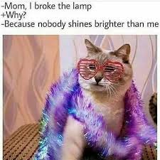 Shine Bright Like A Diamond Animal Memes Funny Animal Memes Funny Animals