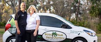 Infestations from pests like cockroaches, ants and mosquitoes can seriously hinder the enjoyment area residents get out of their palm coast, florida homes. Royal Palm Pest Control
