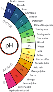 acids and bases ck 12 foundation