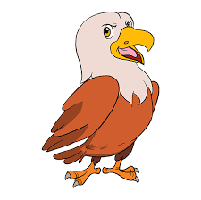 More images for how to draw a cartoon caribou » 40 Most Popular Cartoon Hawk Drawing Easy Barnes Family