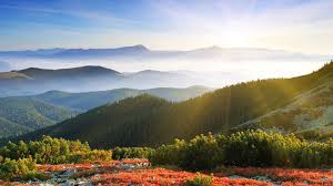 Here you can find nature desktop wallpapers and download best nature desktop backgrounds. Mountains Landscapes Nature Trees Forests Hills Free Desktop Wallpaper Nature And Landscape Wallpaper Better