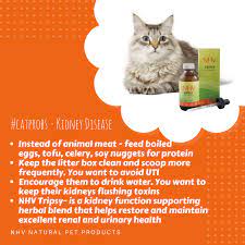 Tripsy For Cats Pet Remedies Cat Diseases Remedies For Kidney Infection
