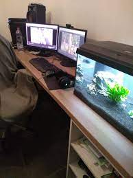 The mini usb aquarium desk toy with artificial fish. Alright So I Have My Aquarium On The Same Desk As My Computer But I Have A Steering Wheel I Really Love To Use What I M Afraid For Is That If I