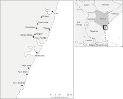 Image result for Justicia asystasioides