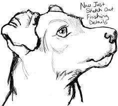 Old yeller color by pdadams88. How To Draw A Dog Realistic Easy Novocom Top