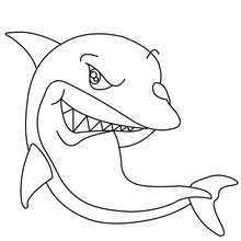 Creatures Great And Small Sea Prints To Color Recherche Google Shark Coloring Pages Animal Coloring Pages Dolphin Coloring Pages