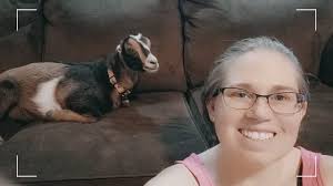 How do you keep your goats from jumping